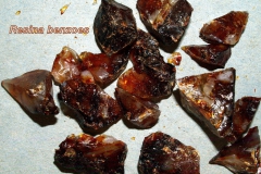 Benzoe-gyanta