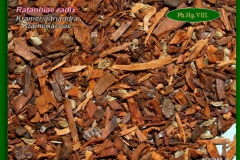 Perui ratanhia - gyökérdrog