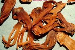 Szerecsendió - virágdrog